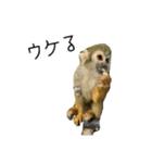 生意キッキ（個別スタンプ：23）