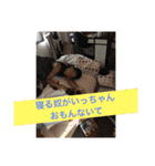 海星⭐︎（個別スタンプ：15）