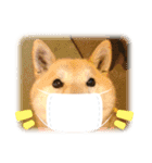 赤柴はなちゃん ”ウイルス対策”（個別スタンプ：3）