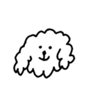 animal’（個別スタンプ：1）