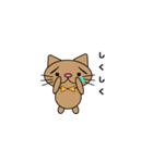 茶ねこたん（個別スタンプ：6）
