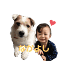 はるたとショコちゃんとクーちゃん♡（個別スタンプ：1）