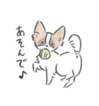 どんぐり、かまって欲しい。（個別スタンプ：1）