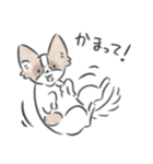 どんぐり、かまって欲しい。（個別スタンプ：2）