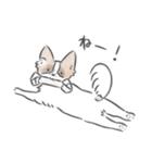 どんぐり、かまって欲しい。（個別スタンプ：4）