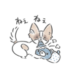 どんぐり、かまって欲しい。（個別スタンプ：7）