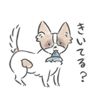 どんぐり、かまって欲しい。（個別スタンプ：8）
