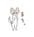 どんぐり、かまって欲しい。（個別スタンプ：9）