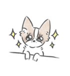 どんぐり、かまって欲しい。（個別スタンプ：10）