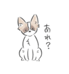 どんぐり、かまって欲しい。（個別スタンプ：12）