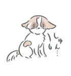 どんぐり、かまって欲しい。（個別スタンプ：13）