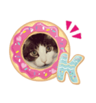 ネコちゃんで返信（個別スタンプ：1）