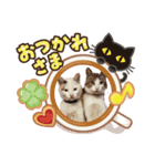 ネコちゃんで返信（個別スタンプ：2）