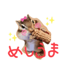 食いしん坊のむーちょ（個別スタンプ：1）