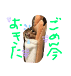 食いしん坊のむーちょ（個別スタンプ：3）