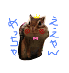 食いしん坊のむーちょ（個別スタンプ：5）