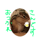 食いしん坊のむーちょ（個別スタンプ：7）