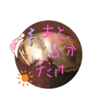 食いしん坊のむーちょ（個別スタンプ：8）