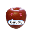 Appleねえさん（個別スタンプ：5）