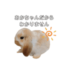うさぎのひまのスタンプ2（個別スタンプ：6）
