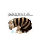 うさぎのひまのスタンプ2（個別スタンプ：7）