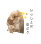 うさぎのひまのスタンプ2（個別スタンプ：8）
