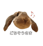 うさぎのひまのスタンプ2（個別スタンプ：14）