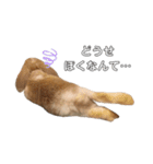 うさぎのひまのスタンプ2（個別スタンプ：15）