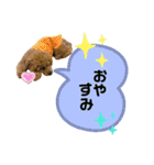 ペニ子☆日常語③（個別スタンプ：5）