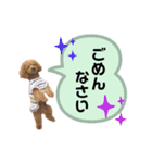 ペニ子☆日常語③（個別スタンプ：16）