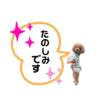 ペニ子☆日常語③（個別スタンプ：19）