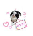 marny's stamp（個別スタンプ：1）