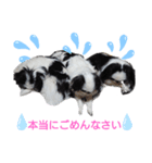 marny's stamp（個別スタンプ：3）