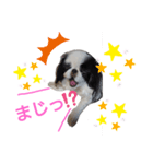 marny's stamp（個別スタンプ：5）