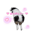 marny's stamp（個別スタンプ：6）