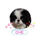 marny's stamp（個別スタンプ：7）