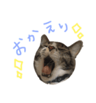 くぼにゃんず（個別スタンプ：10）