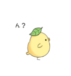 もっちりとしたひよこ（個別スタンプ：5）