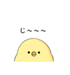 もっちりとしたひよこ（個別スタンプ：16）