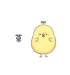 もっちりとしたひよこ（個別スタンプ：25）