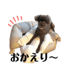 moppingの日常スタンプpart2（個別スタンプ：3）