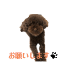 moppingの日常スタンプpart2（個別スタンプ：4）