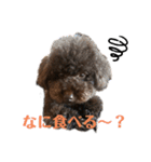 moppingの日常スタンプpart2（個別スタンプ：7）