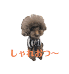 moppingの日常スタンプpart2（個別スタンプ：13）