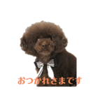 moppingの日常スタンプpart2（個別スタンプ：31）