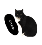 ニニとピノ（個別スタンプ：3）
