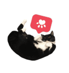 ニニとピノ（個別スタンプ：6）