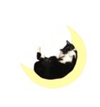 ニニとピノ（個別スタンプ：8）