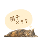 ニニとピノ（個別スタンプ：9）