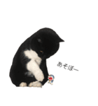 ニニとピノ（個別スタンプ：10）